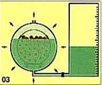 Eucalipto Tratado em Autoclave