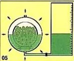 Eucalipto Tratado em Autoclave