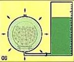 Eucalipto Tratado em Autoclave